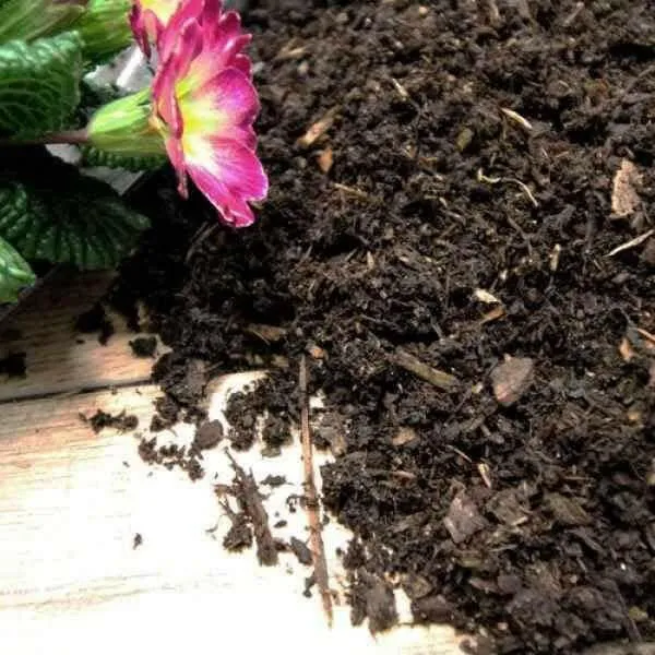 Composted Mulch Fines Sample