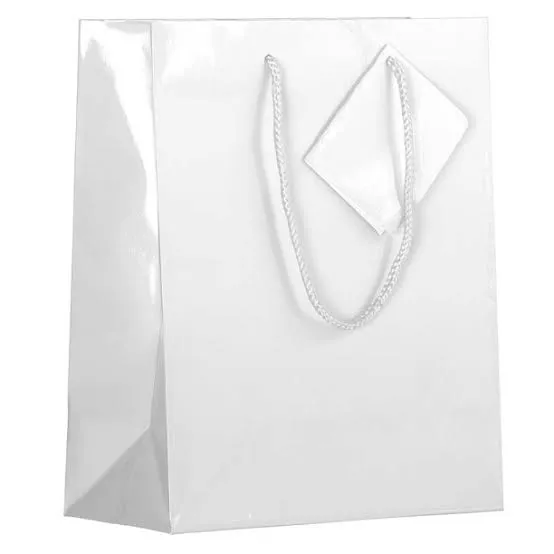 PLAIN GIFT BAGS