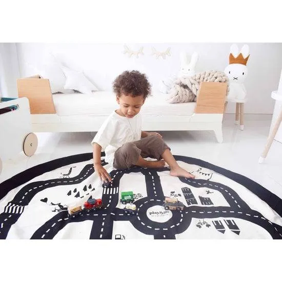 Roadmap/thunderbolt toy storage S6046
